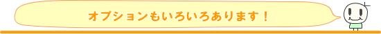 オプションもいろいろあります!